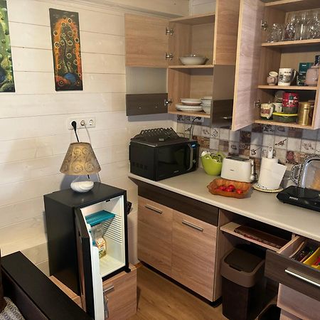 Apartament Ryto Garsai Merkine Zewnętrze zdjęcie